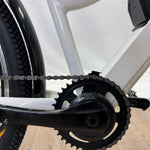 Escape Commuter eBike Display Model