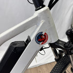 Escape Commuter eBike Display Model