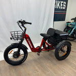 Trinity Foldable E-Trike Display Model