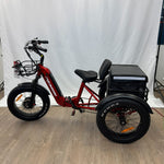 Trinity Foldable E-Trike Display Model